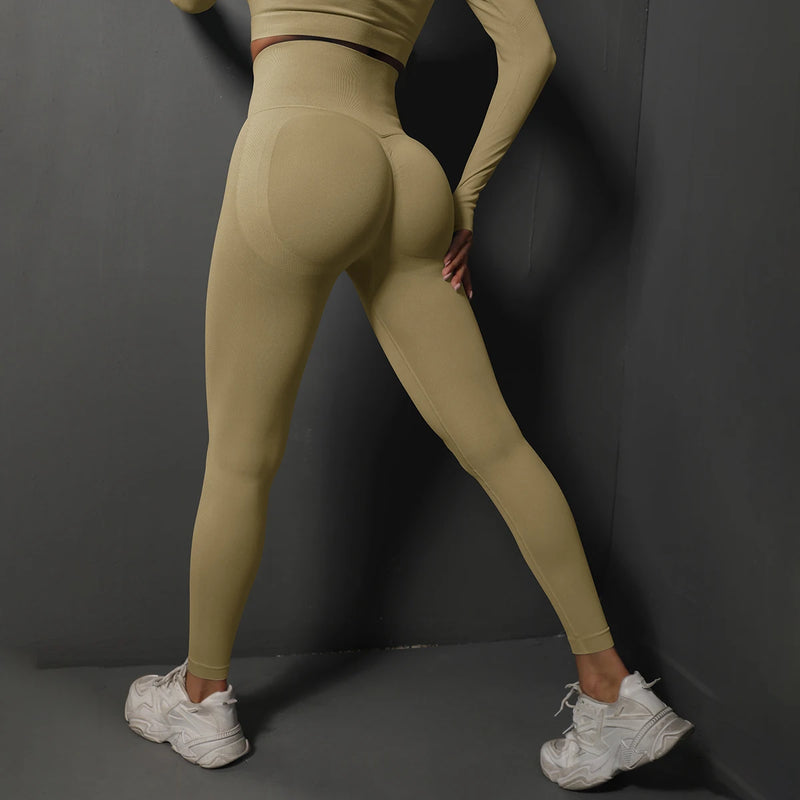 Seamless Gym Suits